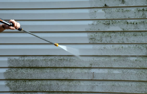 Best Pressure Washing Driveway  in Gillette, NJ