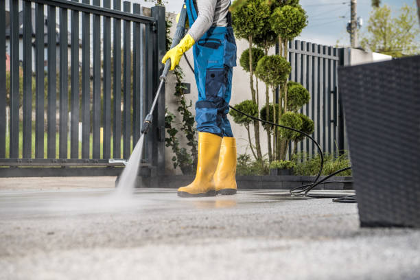 Best Roof Pressure Washing  in Gillette, NJ